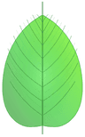 Association